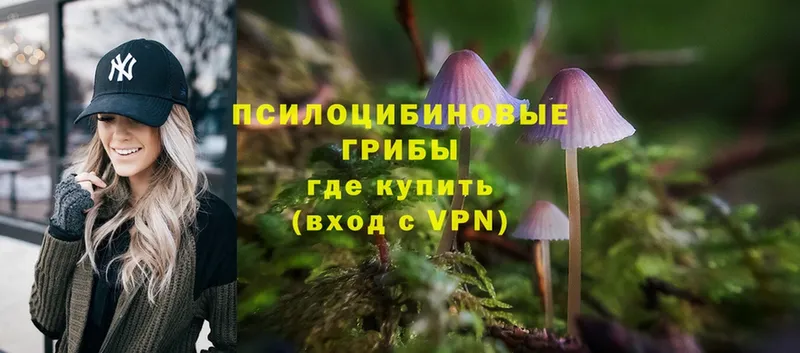 Галлюциногенные грибы Magic Shrooms  МЕГА как зайти  Буйнакск 